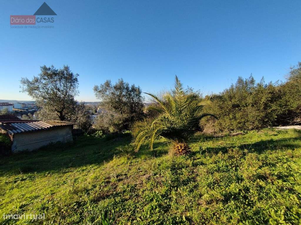 Lote de terreno com 15.300 m2 Zona Norte - Coimbra (Portugal) - Grande imagem: 5/12