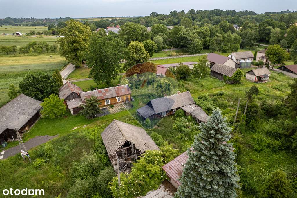 Dom do remontu na 27 arowej działce - Pełny obrazek: 3/17