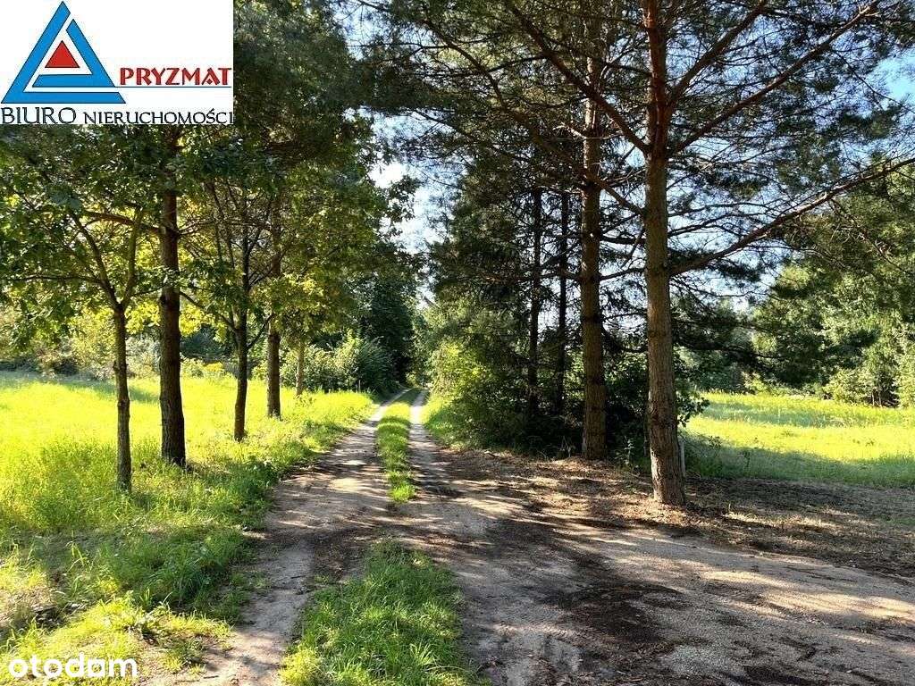 Kolonia Maruny - Działki Do Sprzedaży!-7