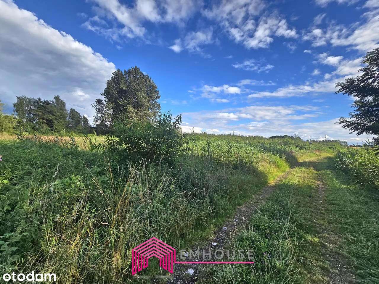 Działka rekreacyjna pod miastem - Pełny obrazek: 5/8