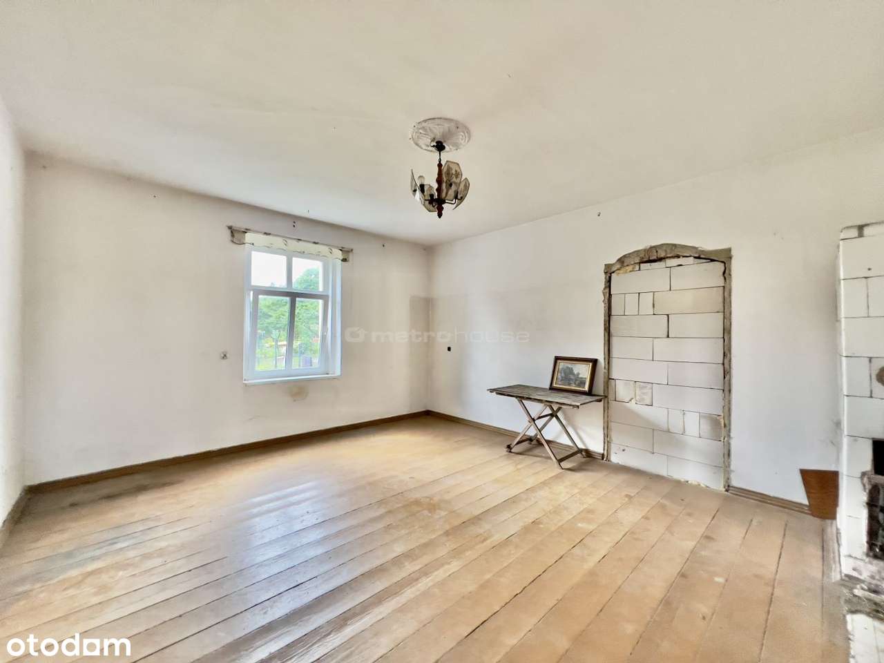 100-letni bliźniak pod Prabutami, blisko jeziora - Pełny obrazek: 5/9