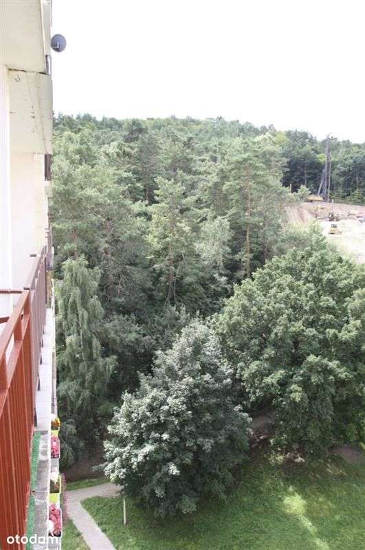 Mieszkanie - Gdynia Pogórze-13