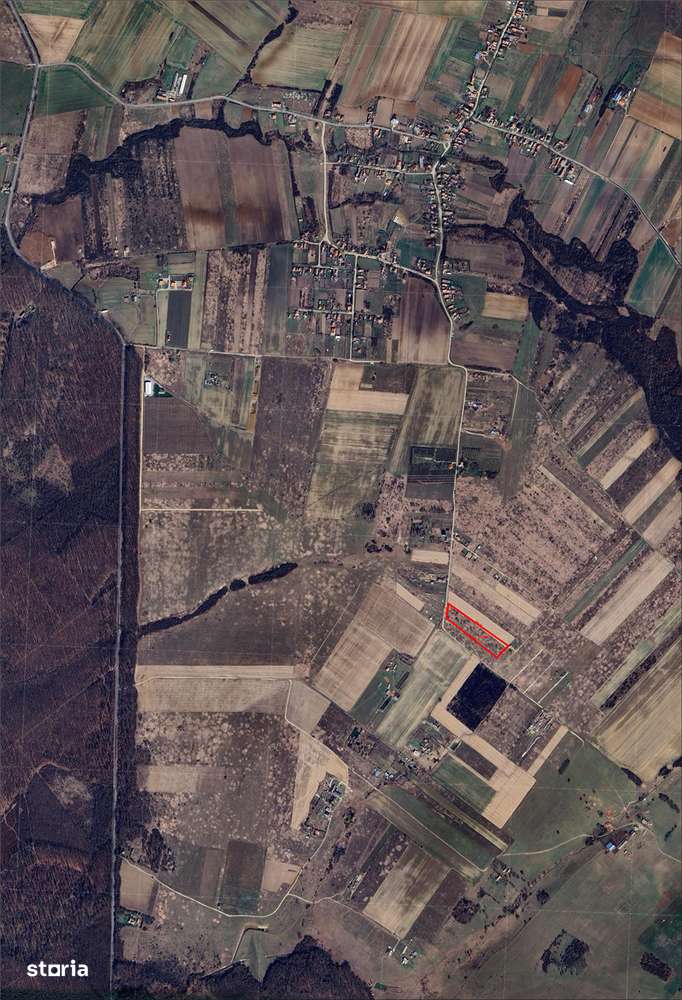 Teren intravilan parcelabil - Pausa, comuna Nojorid - IMOBIHOR - Imagine principală: 2/7