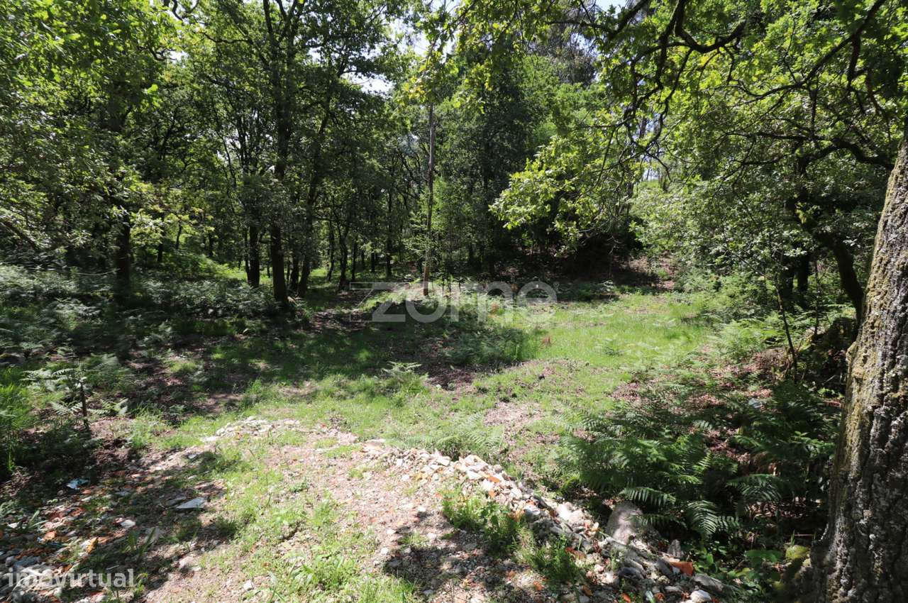 Terreno Rústico em Barbeitos (Álvora) - Grande imagem: 5/23