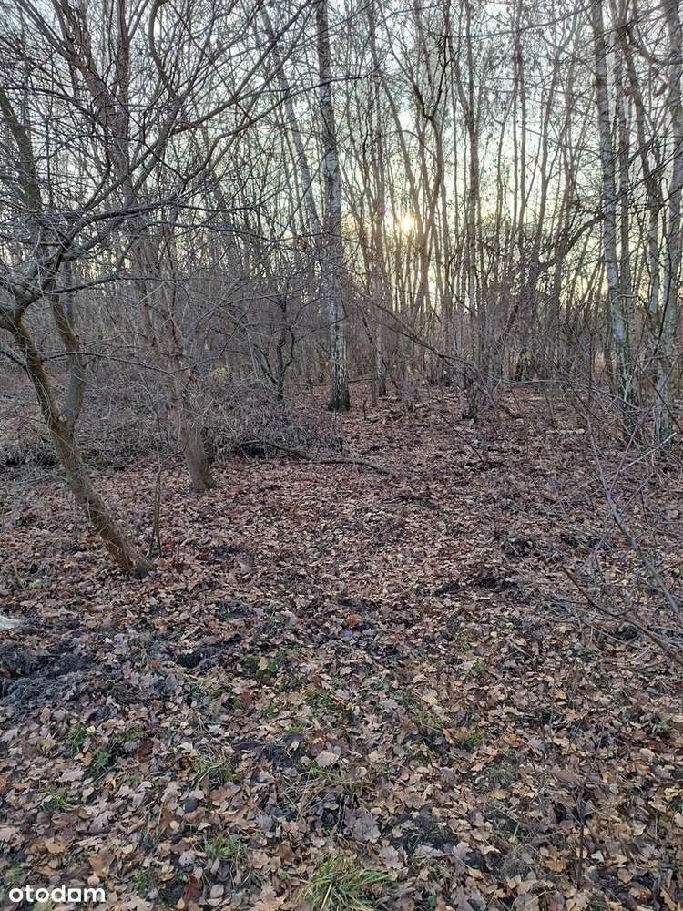 Działka budowlana Brwinów- zabudowa bliźniacza - Pełny obrazek: 5/11