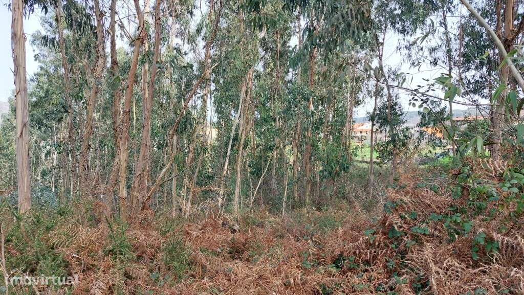 Terreno rústico - Soengas-9