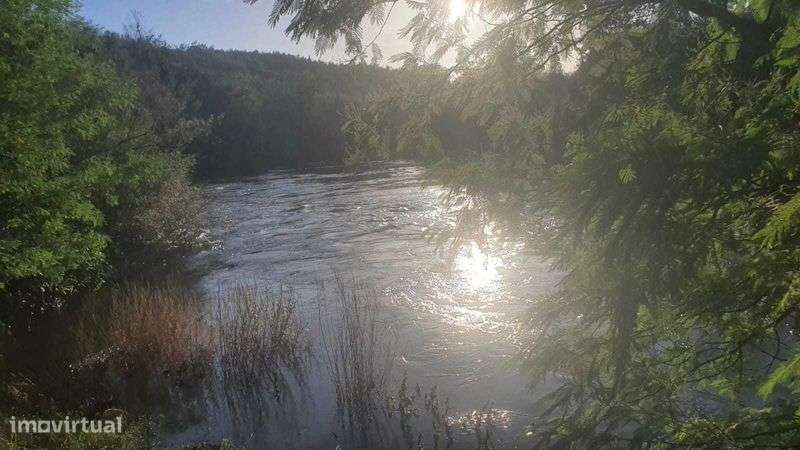 Propriedade com 6ha à Beira do Rio Mondego - Grande imagem: 5/12
