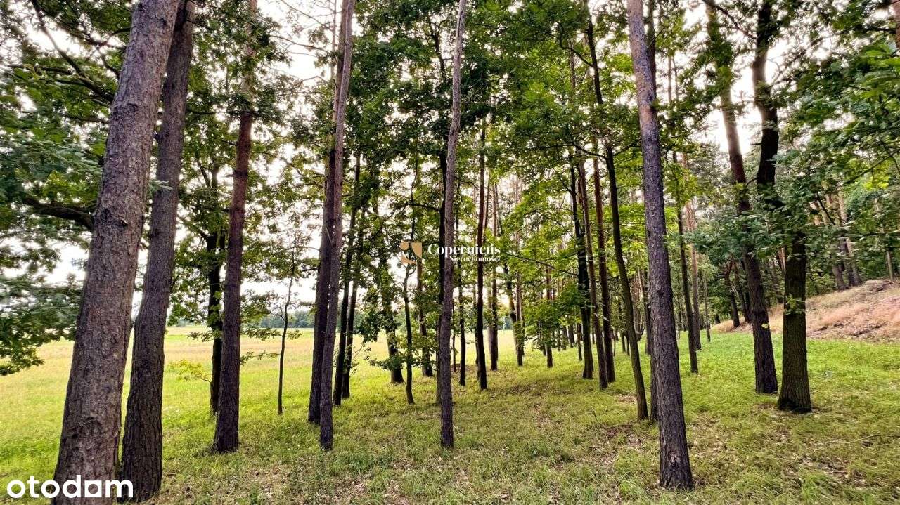 Tuż za Rozgartami. Bez prowizji. Działki z Wz - Pełny obrazek: 5/8