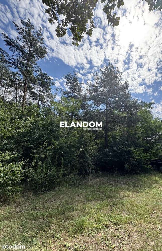 Atrakcyjna działka w Józefowie-1