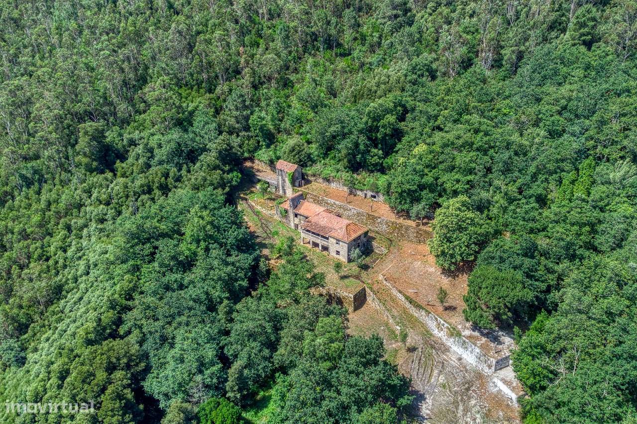 QUINTA NO VALE DO DOURO - 2 CASAS EM PEDRA, 11 HECTARES DE TERRENO-19