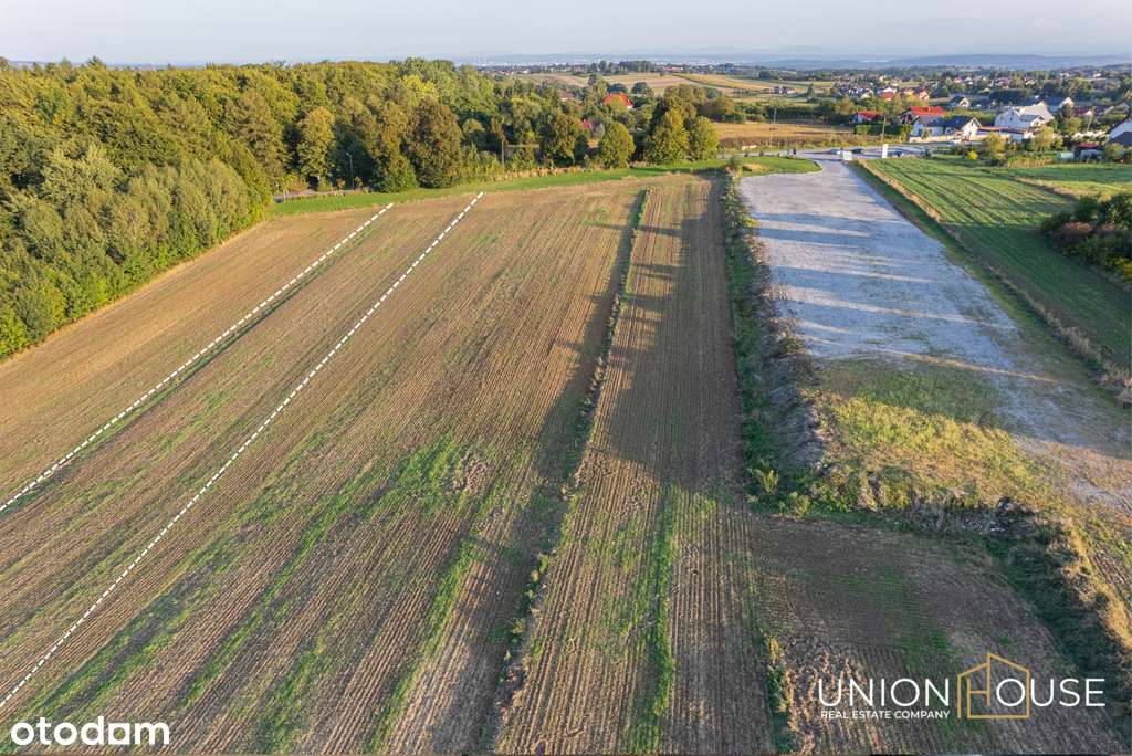 Czajowice - 44 ary przy Ojcowski Parku Narodowym - Pełny obrazek: 4/14