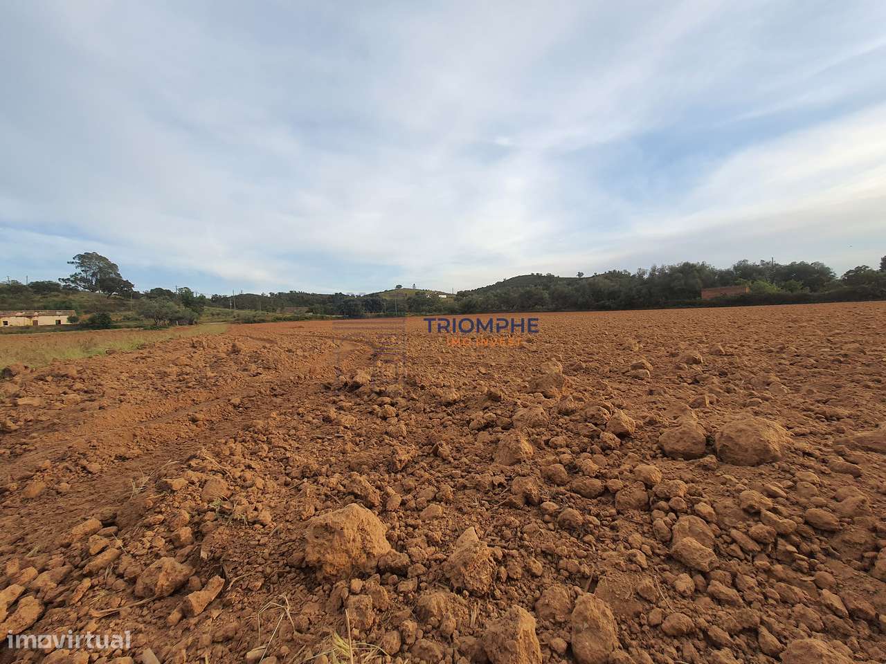 Terreno com Ruína - Silves - Projeto de Empreendimento Rural - Grande imagem: 5/6