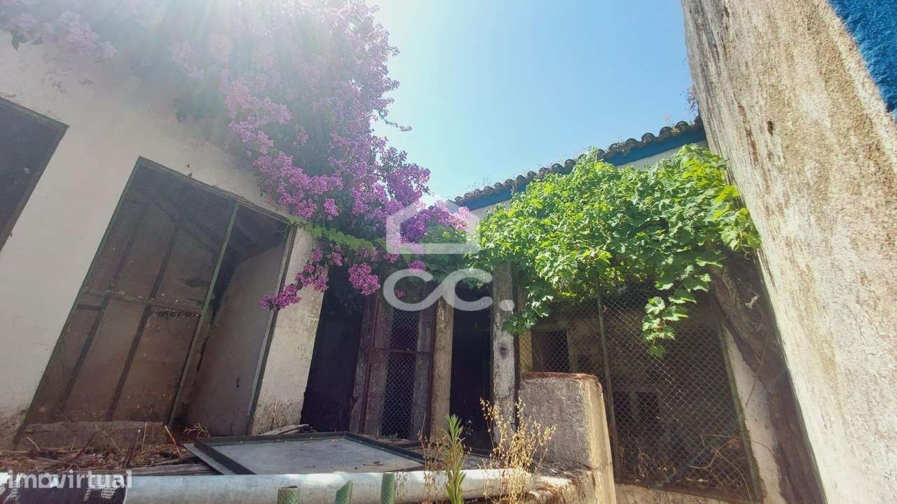 Vende -se - Grande imagem: 4/8