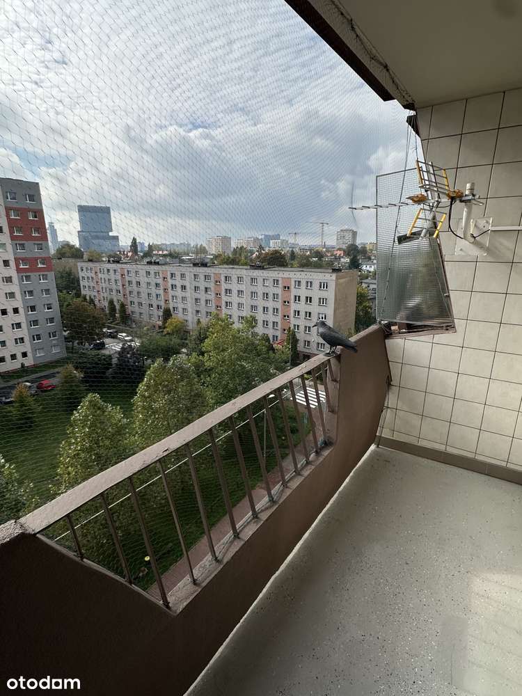 Katowice Bogucice-3 pok, 59,35m, cena 505 tys.-7