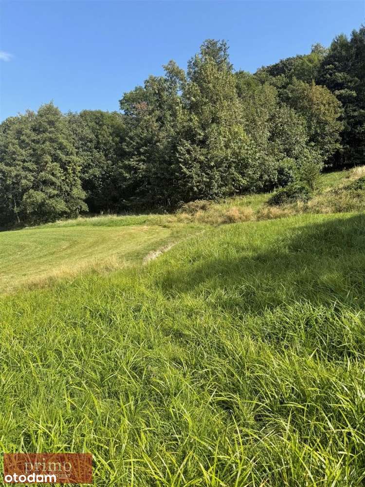 Działka, 2 580 m², Górki Wielkie - Pełny obrazek: 4/10