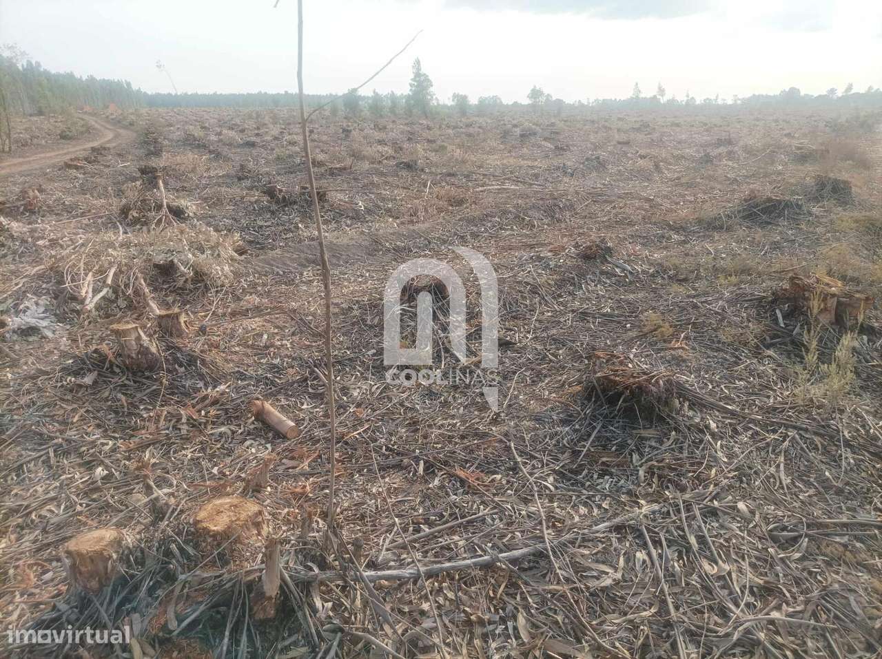 Terreno c/ diversas viabilidades de exploração - Grande imagem: 4/22
