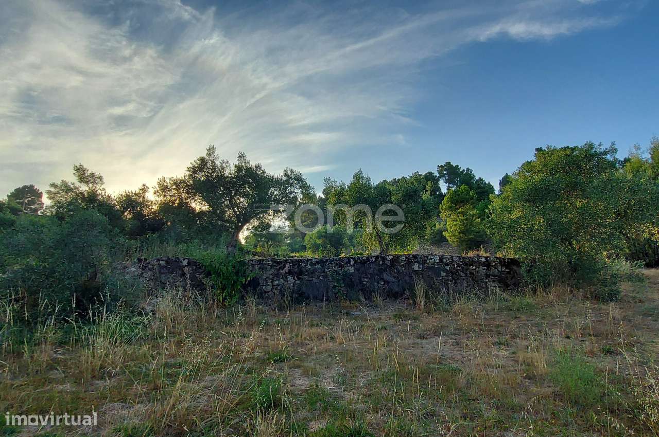 Quinta na Portelinha - Moimenta Da Beira - Grande imagem: 5/17