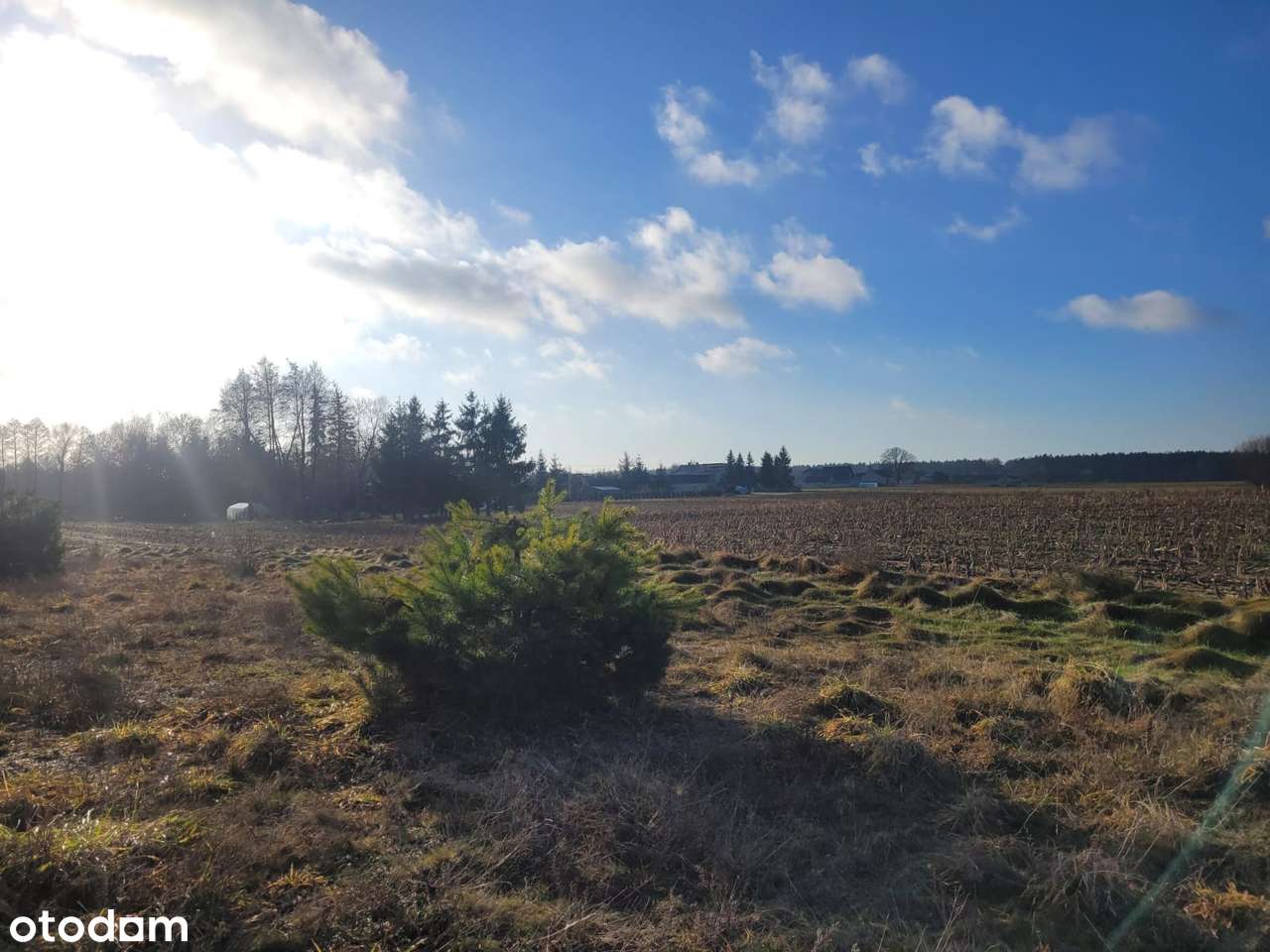 GOŁĄBKI na sprzeedaż działka budowlana 950m2-1