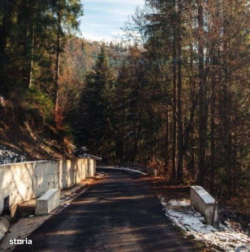 Teren intravilan pentru investitie,Arieseni,jud. Alba,Gaminvest V4343 - Imagine principală: 4/4