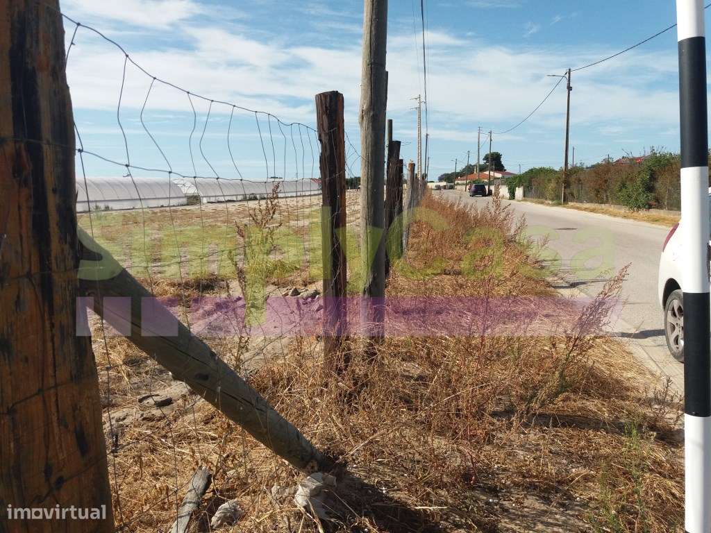 Moradia Ruina junto BA6 Montijo inserida em terreno c/ 3 ha-5