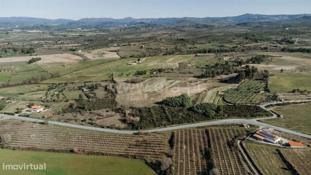 Terreno Rústico / Belmonte, Monte do Bispo - Grande imagem: 2/11