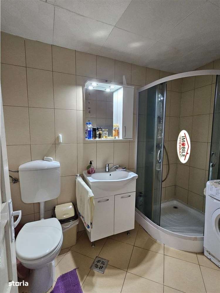 Casa de vanzare in Sura Mare-12