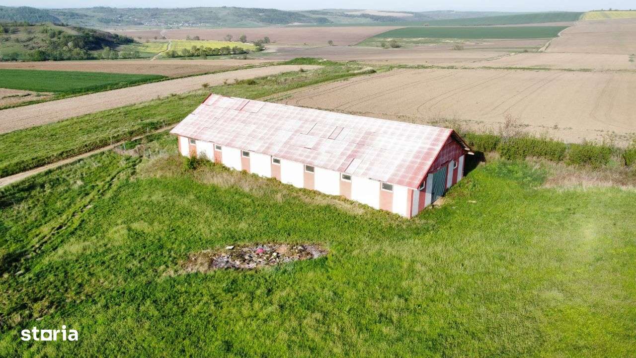 Hala - Spatiu Comercial - Livada , Sat Ciuturesti - Com. Secuieni-6