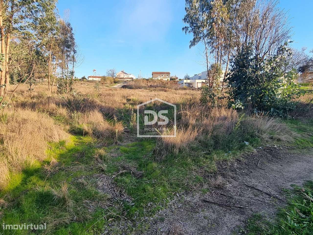 Terreno  Venda em Duas Igrejas,Penafiel-10