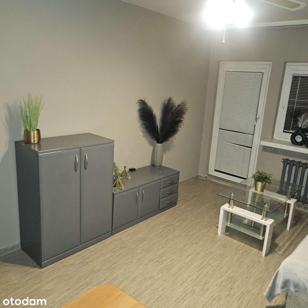 2 pokoje w super cenie i lokalizacji - Pełny obrazek: 3/15