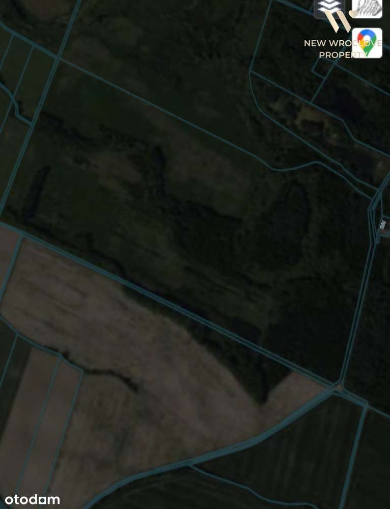 2 działki=52,43ha, dojazd drogą asfaltową - Pełny obrazek: 4/16