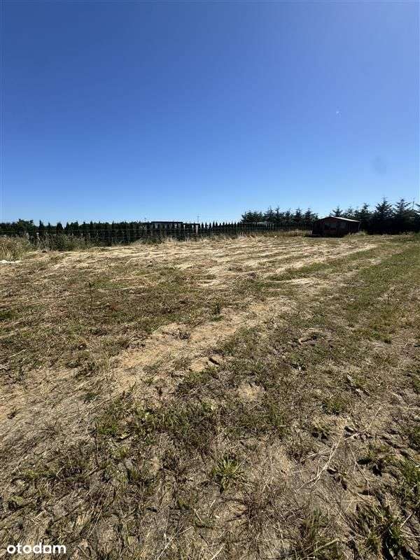 Dom letniskowy - Śmiechów Śmiechów - Pełny obrazek: 5/19