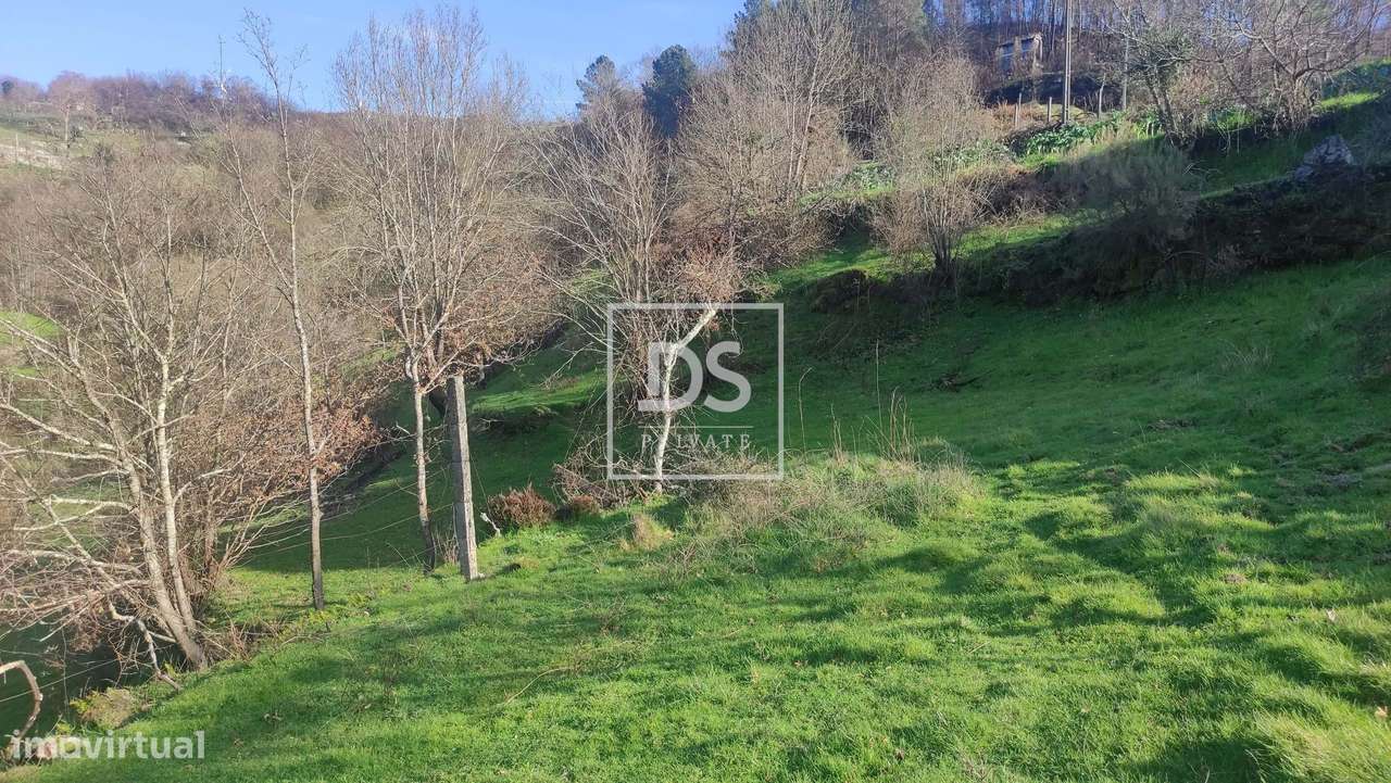 Terreno Rústico com 33.000m² à Venda em Loivos do Monte – Baião - Grande imagem: 4/11