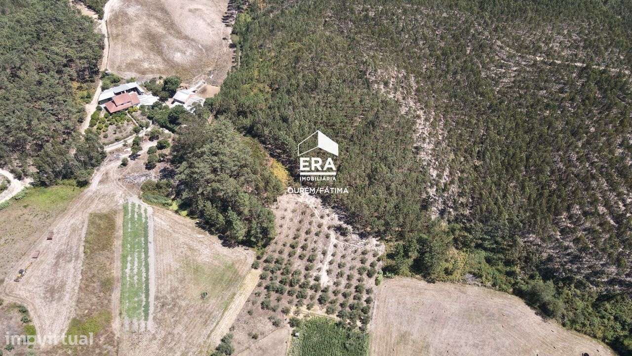 Terreno Rústico localizado em Cercal, Ourém - Grande imagem: 4/11