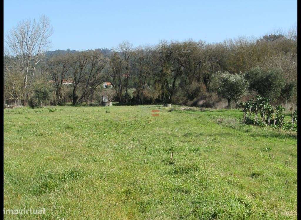 Terreno Rústico C/ poço - Grande imagem: 2/6