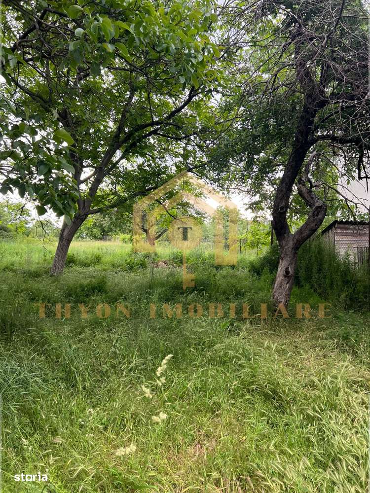 Casă de vânzare în Petrești, Sebeș – teren generos 1961 mp-8