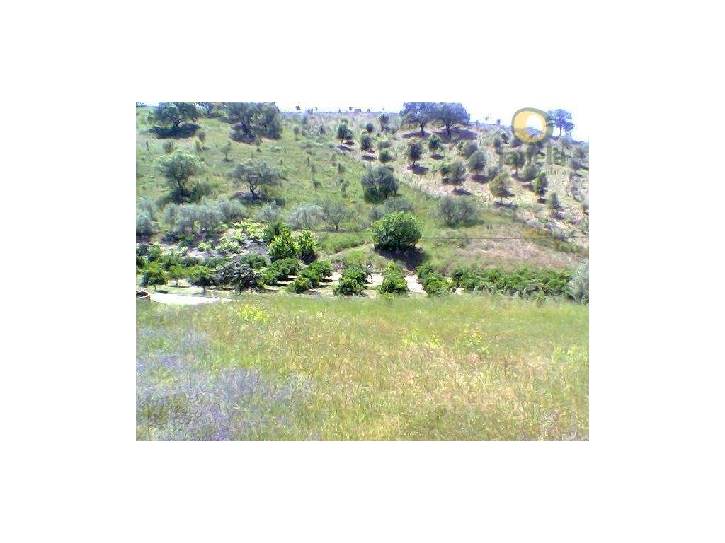 Terreno Misto com viabilidade para turismo rural - Grande imagem: 5/10