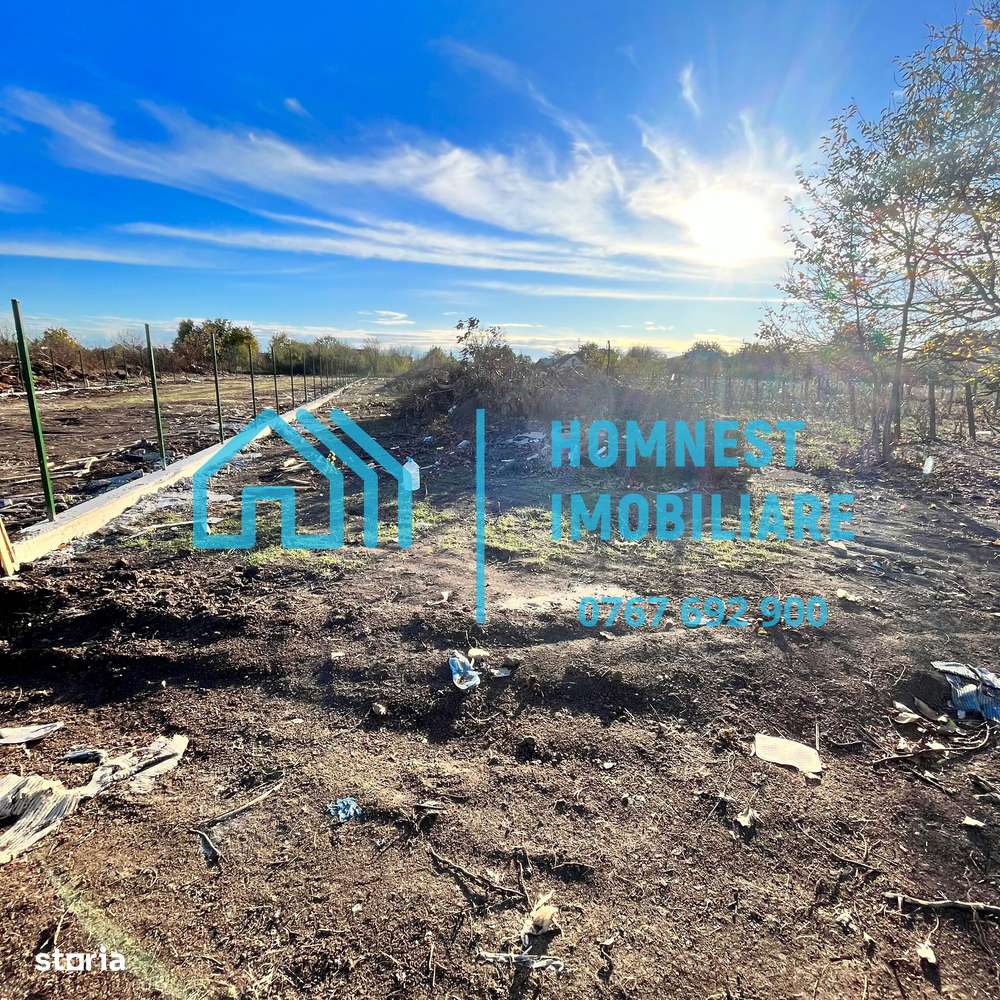 Stefanestii de Jos iIlfov | Teren 996.08 mp-7