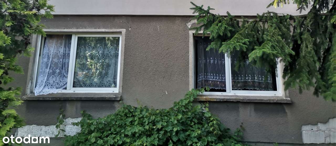 Dom wolnostojący w cichej wsi z piwnicą