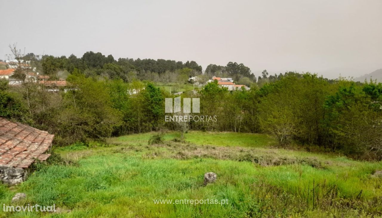 Venda de Terreno Lomba Amarante