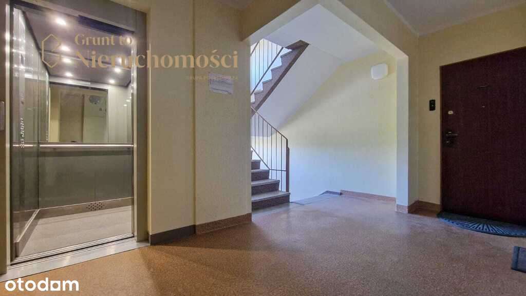 puste M3 do remontu | blisko pętli i UAM Morasko - Pełny obrazek: 5/11