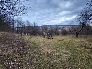 Teren de vanzare intravilan, 10 000 Mp , Sighisoara - Imagine principală: 2/10