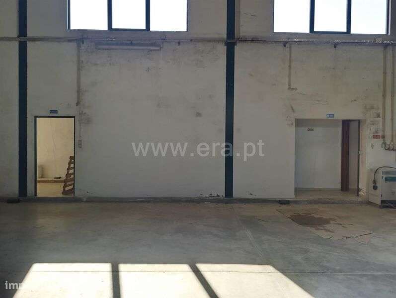 Quinta T1 / Fundão, Donas - Grande imagem: 4/11