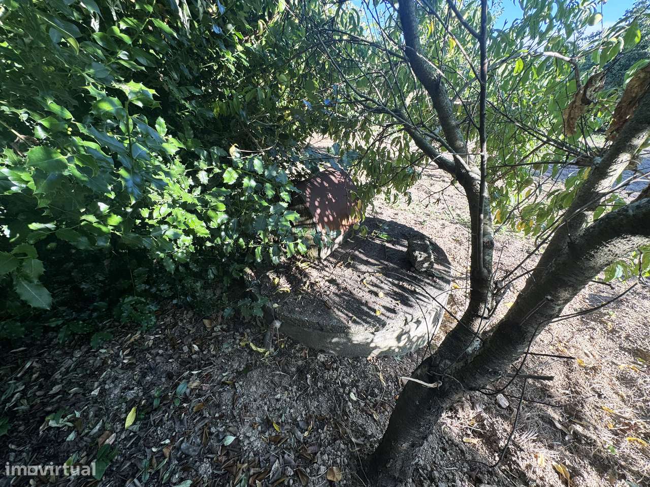 Moradia Isolada em Cucujães-20