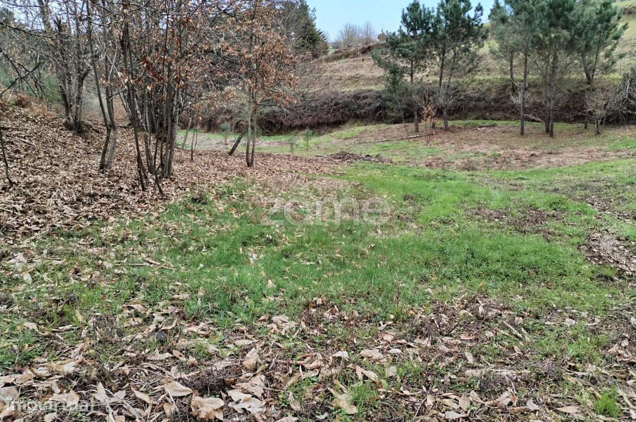 Terreno agricola e florestal.-17