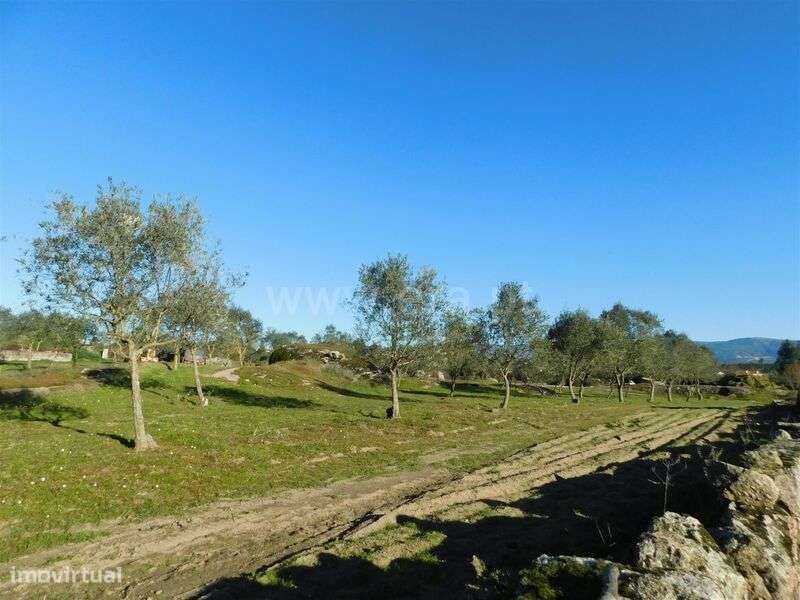 Quinta / Seia, Paranhos - Grande imagem: 4/11