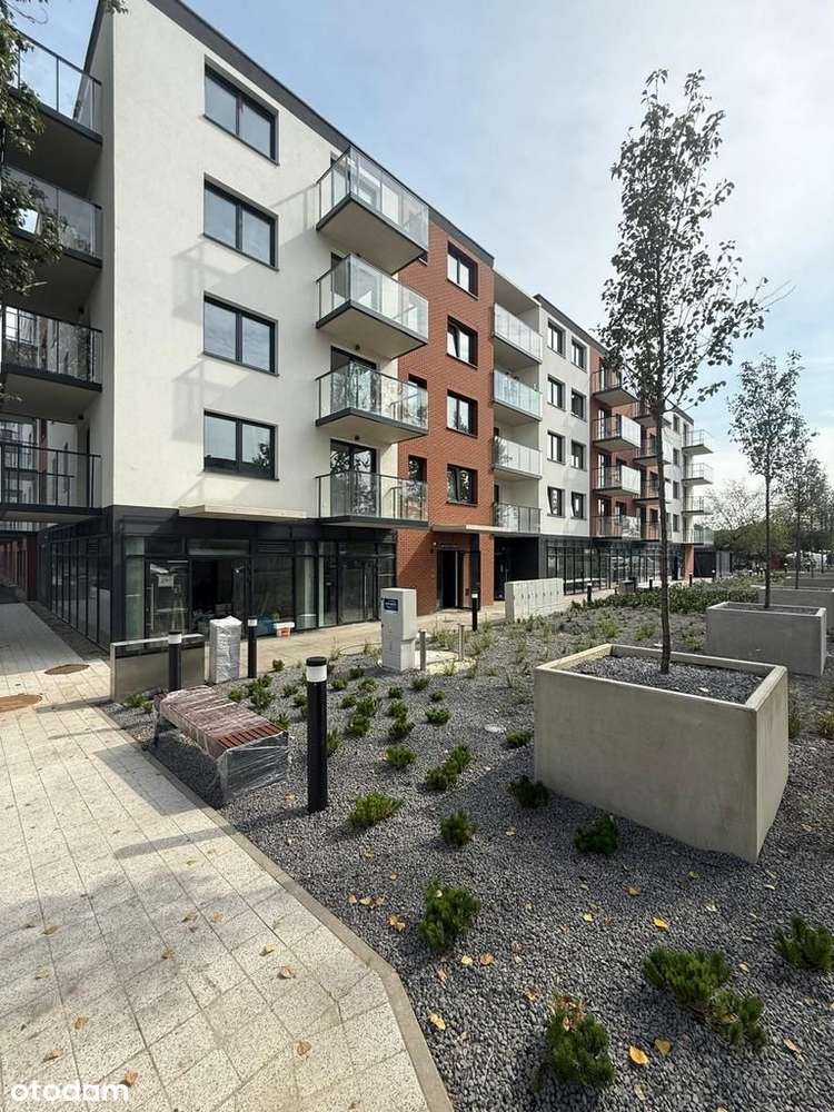 Lokal | witryna | 59m2 | między Hertem a Blumisiem - Pełny obrazek: 3/11