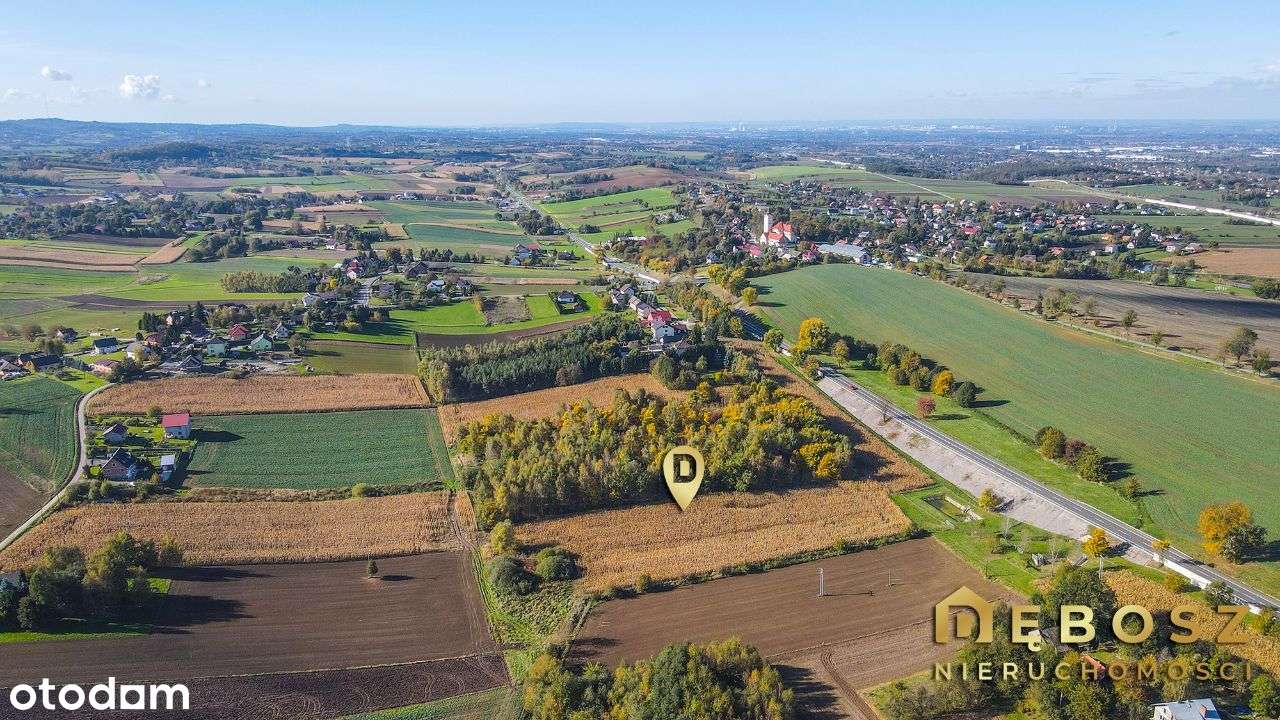 Brzezie | Działka budowlana - 51 ar - Pełny obrazek: 4/8
