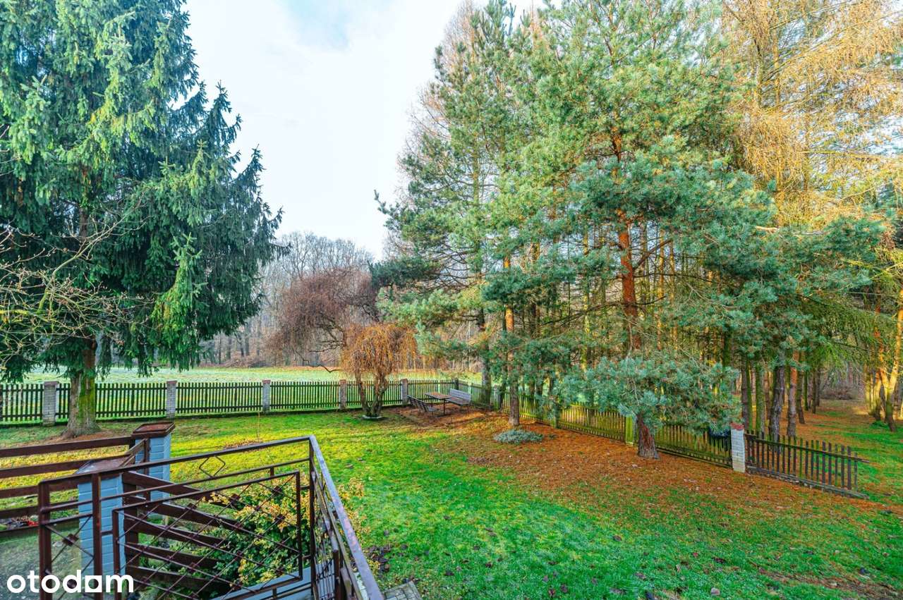 Przestronny dom z duszą i prywatnym lasem - idealny dla rodziny - Pełny obrazek: 5/20