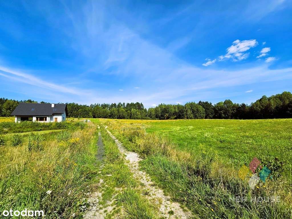 Działka pod zabudowę w otulinie lasu, Patryki - Pełny obrazek: 5/9