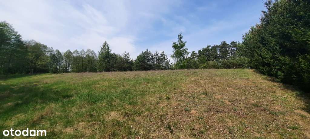 Nowa Wieś - działka budowlana - Pełny obrazek: 5/6